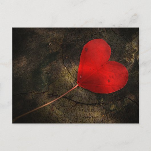 Herzblatt Briefkaart (Voorkant)