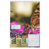 HERZIEN: "gebruikende vleugel" Kalender (Feb 2027)