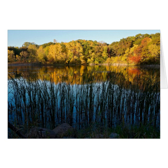 Herzieningen Marthaler Park (Voorkant Horizontaal)