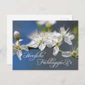 Herzliche Frühlingsgrüße Briefkaart (Voorkant / Achterkant)