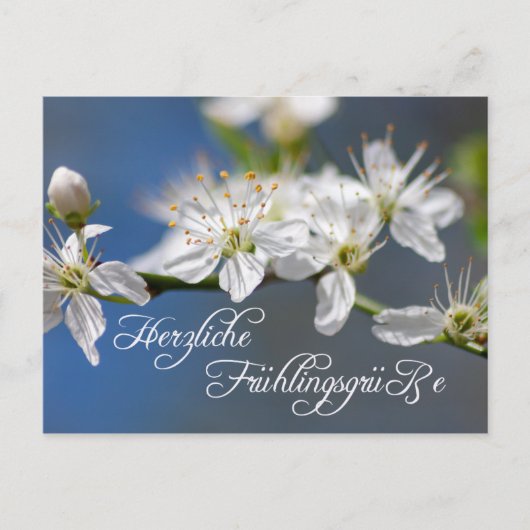 Herzliche Frühlingsgrüße Briefkaart (Voorkant)