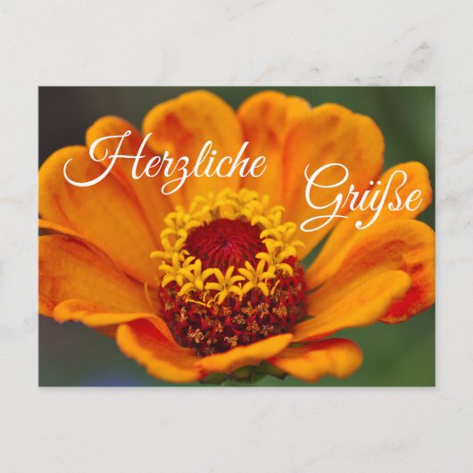 Herzliche Grüße für Deine Liebsten Briefkaart (Voorkant)