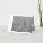 Herzliches Beileid ! Kaart (Achterkant)