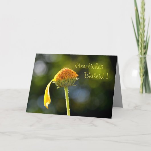 Herzliches Beileid ! Mit gelber Blüte Kaart (Voorkant)
