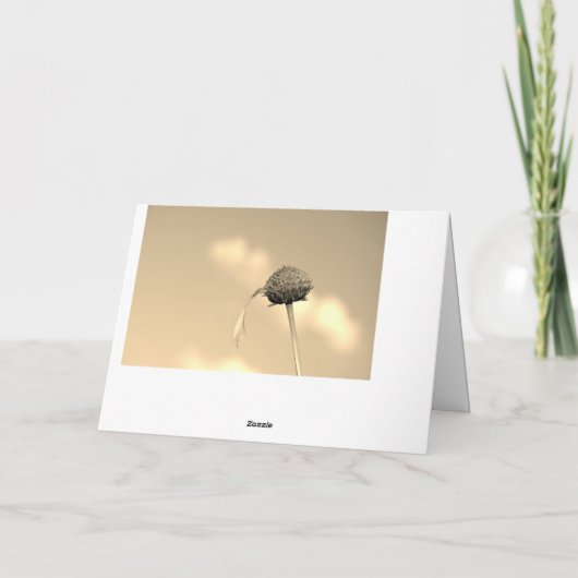 Herzliches Beileid - mit Spruch aus der Bibel Kaart (Achterkant)