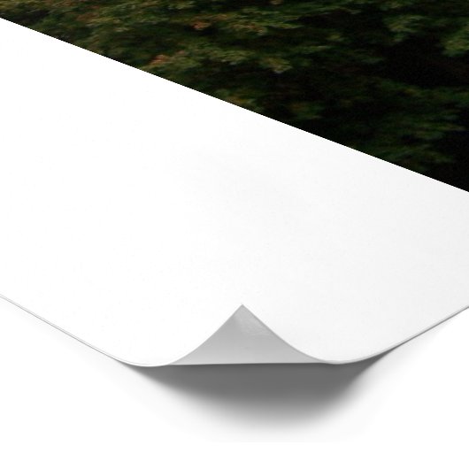 Hesbergh Library Poster (Hoek)