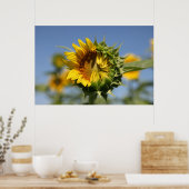 Hesitant Poster (Keuken)