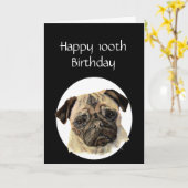 het 100ste Huisdier van de Humor van de Kaart (Gele Bloem)