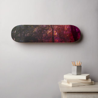 Het 13e Skultbord. Persoonlijk Skateboard