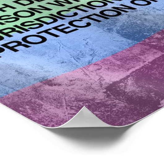 HET 14e AMENDEMENT Poster (Hoek)