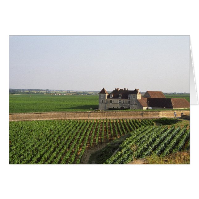 Het 16e-eeuwse klooster Clos de Vougeot en (Voorkant Horizontaal)