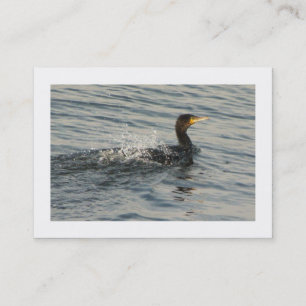 Het aalscholver Leren aan Swim (Grenzen) Visitekaartje