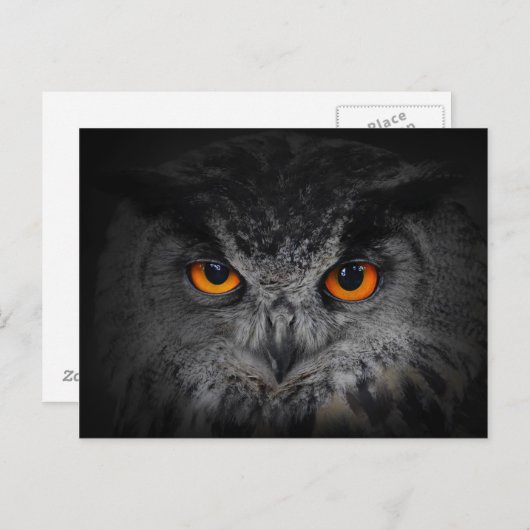 Het aambeeld ziet er uit. (Eagle Owl, Bubo Bubo) Briefkaart (Voorkant / Achterkant)
