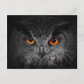 Het aambeeld ziet er uit. (Eagle Owl, Bubo Bubo) Briefkaart (Voorkant)