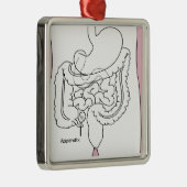 het aanhangsel doodt je.png metalen ornament (Rechts)