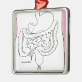 het aanhangsel doodt je.png metalen ornament (Links)