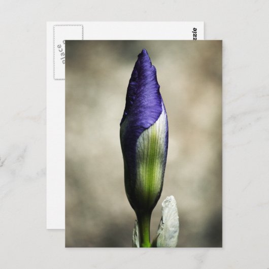 Het aankomende Briefkaart (Voorkant / Achterkant)