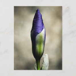 Het aankomende Briefkaart