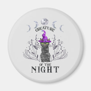 Het aanmaken van de nacht magneet