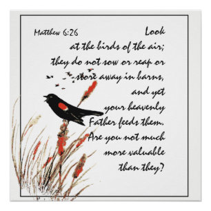 Het aanmoedigen van Bijbelse Schrift Matthew Bird  Perfect Poster
