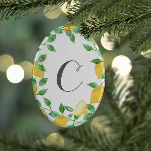 Het Aanvankelijke Ornament van de vintage Citroen