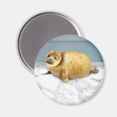 Het aardappelzegel magneet (Voorkant / Achterkant)