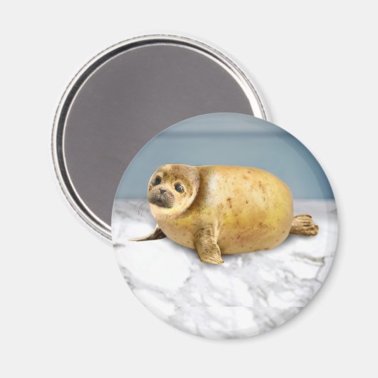 Het aardappelzegel magneet (Voorkant / Achterkant)