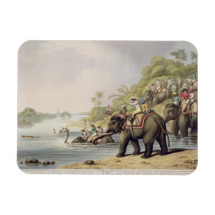 Het achtervolgen van een tijger over een rivier, v magneet