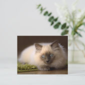 Het achtervolgen van het muisbriefkaart briefkaart (Staand voorkant)