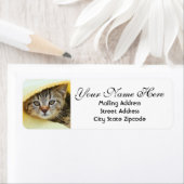 Het adres van de Keuten van de Terugkeer Etiket (Insitu)