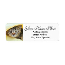 Het adres van de Keuten van de Terugkeer