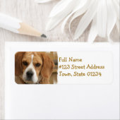 Het Adres van de Terugkeer Beagle Label (Insitu)