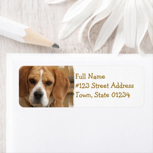 Het Adres van de Terugkeer Beagle Label (Insitu)