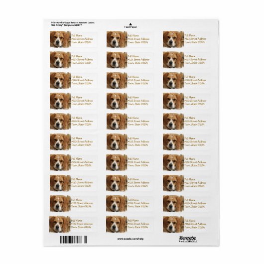 Het Adres van de Terugkeer Beagle Label (Full Sheet)