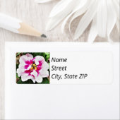 Het Adres van de terugkeer etiketteert roze Tulp. Etiket (Insitu)