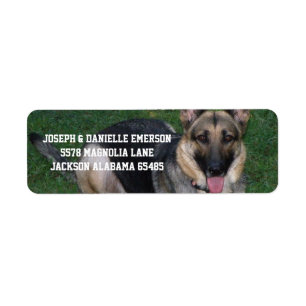 Het Adresetiket van de Hond van de Duitse herder Etiket