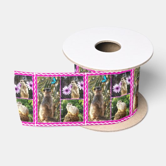 het Afbeelding Meerkat collage met roze rand, Satijnen Lint (Spoel)