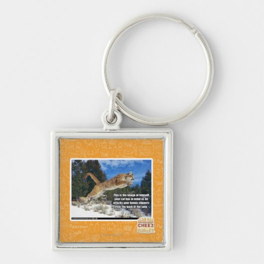 Het afbeelding van de kat sleutelhanger (Voorkant)