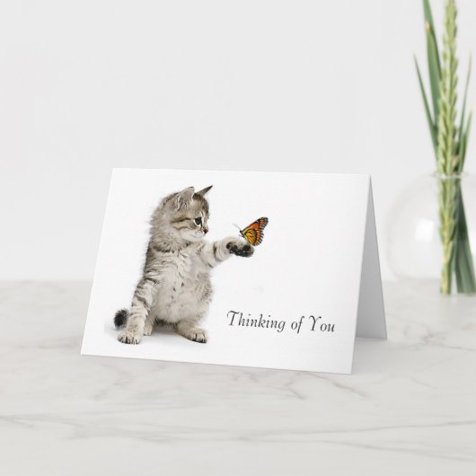 Het afbeelding van de kat voor krijgen-goed-kaart kaart (Voorkant)