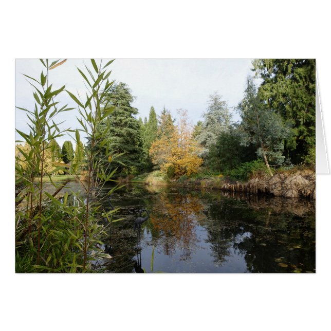 Het afbeelding van de tuinscène, mooie bomen... (Voorkant Horizontaal)
