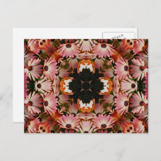 Het Afrikaanse Briefkaart van de Bloem van de (Voorkant / Achterkant)