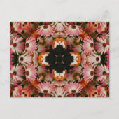 Het Afrikaanse Briefkaart van de Bloem van de (Voorkant)