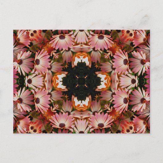 Het Afrikaanse Briefkaart van de Bloem van de (Voorkant)