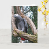 Het Afrikaanse Grijze Wenskaart van de Papegaai Kaart (Gele Bloem)