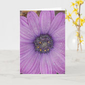 Het Afrikaanse Wenskaart van Daisy Kaart (Gele Bloem)