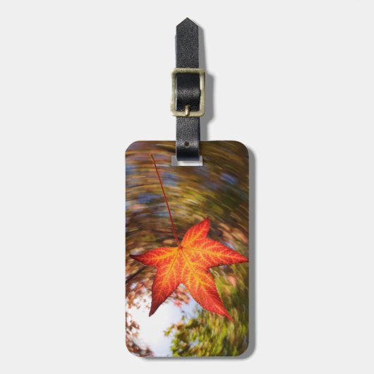 Het afvallen van Leaf uit een boom in de herfst Bagagelabel (Voorkant verticaal)
