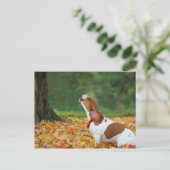 Het alarm geluid briefkaart (Staand voorkant)