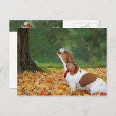 Het alarm geluid briefkaart (Voorkant / Achterkant)