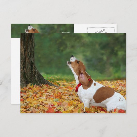 Het alarm geluid briefkaart (Voorkant / Achterkant)