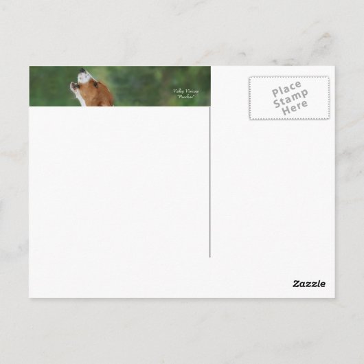 Het alarm geluid briefkaart (Achterkant)